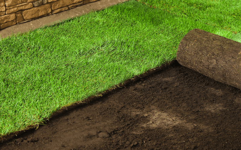 Sod Installation Services in Granger, IN